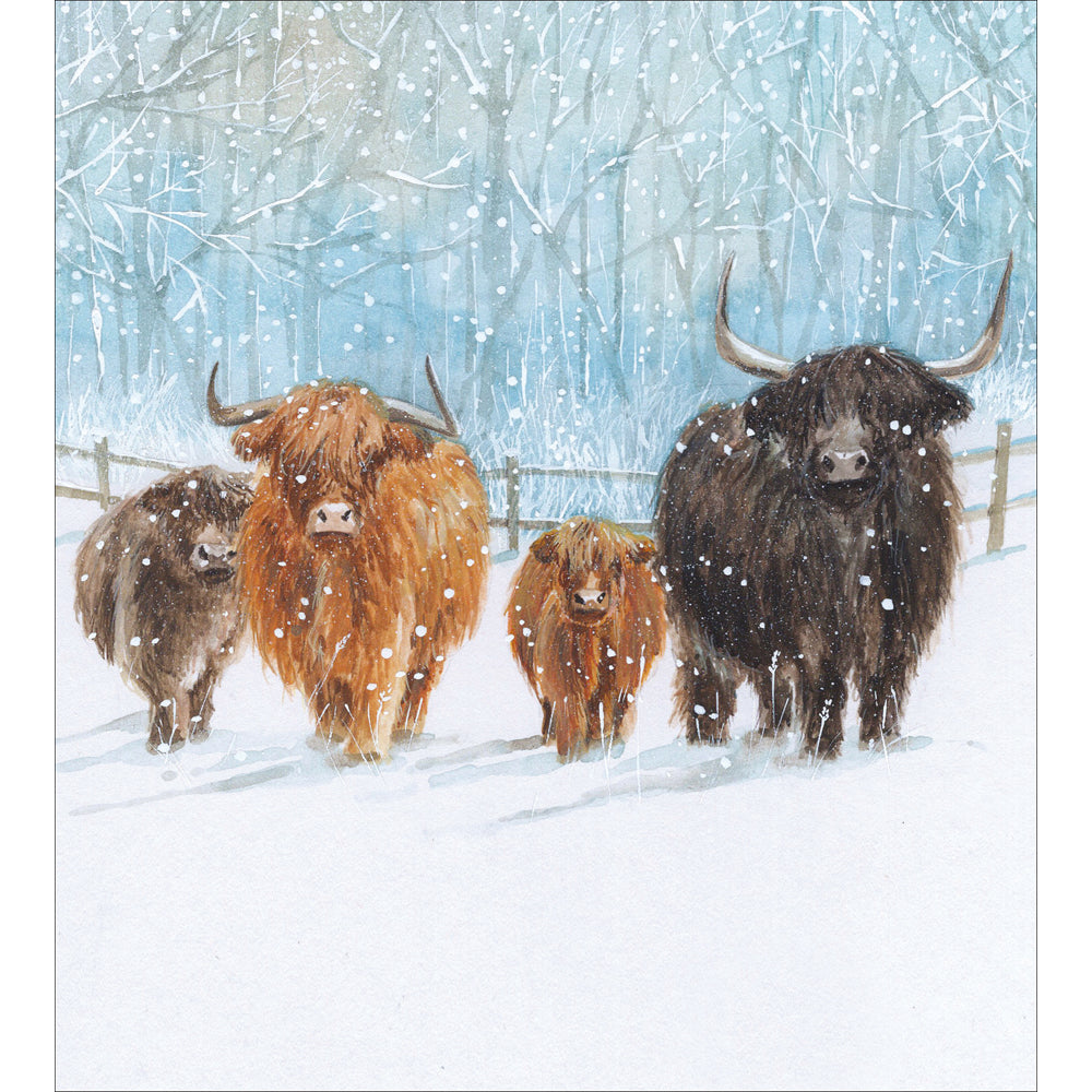 greetings card showing highland cows in a field