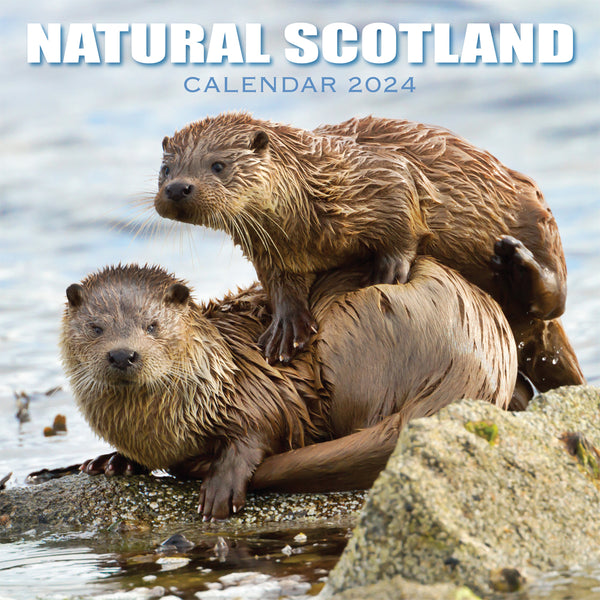 2024 Natural Scotland Calendar - Penny Black