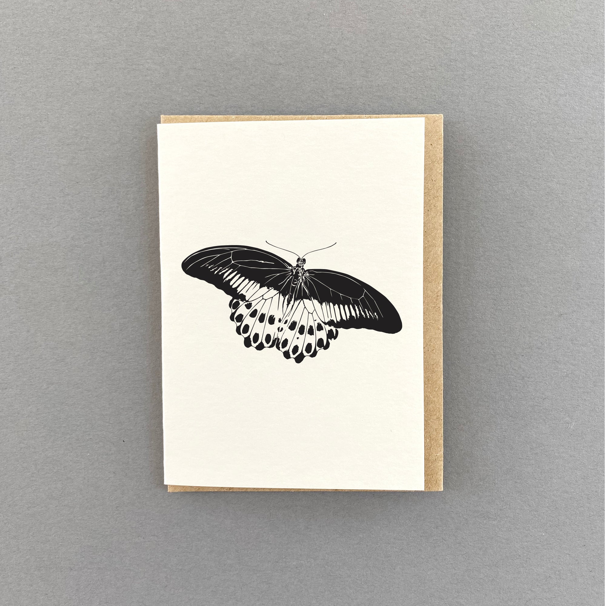 Butterfly Blue Mormon Little Letterpress Notecard by penny black