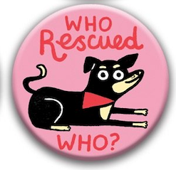 Best in Show Dog Gemma Correll Pin Badge - who rescued who