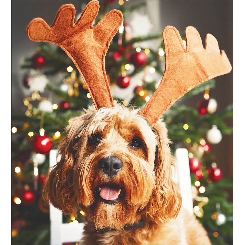 An image of a christms greetings card with a cockapoo sitting infront of a christmas tree with pretend reindeer antlers on it's head.