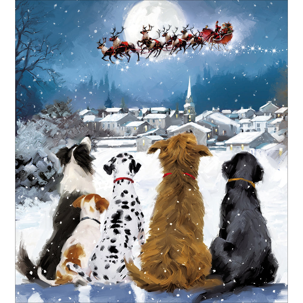 greetings card showing dogs watching santa fly across the sky