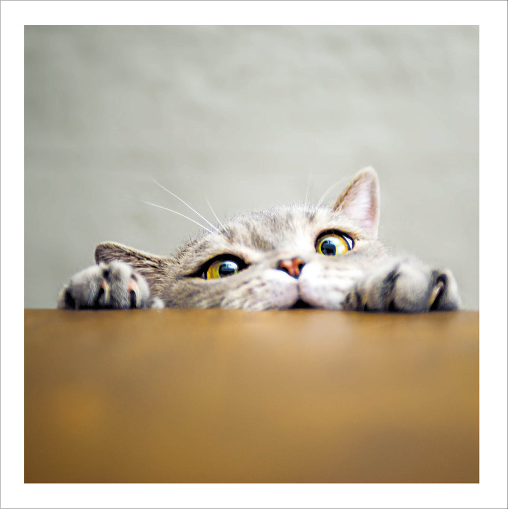 An image of a cat's head and front claws peeping over the edge of a table.