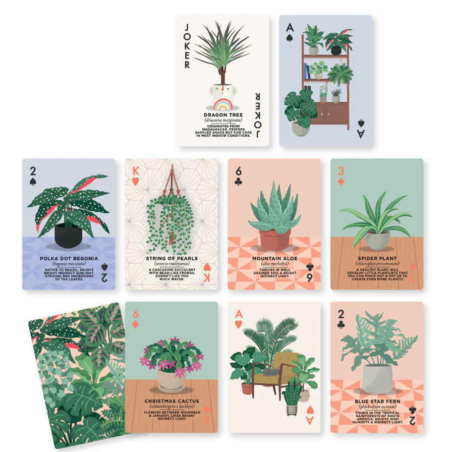 Houseplants Illustrated Playing Cards Deck from penny black