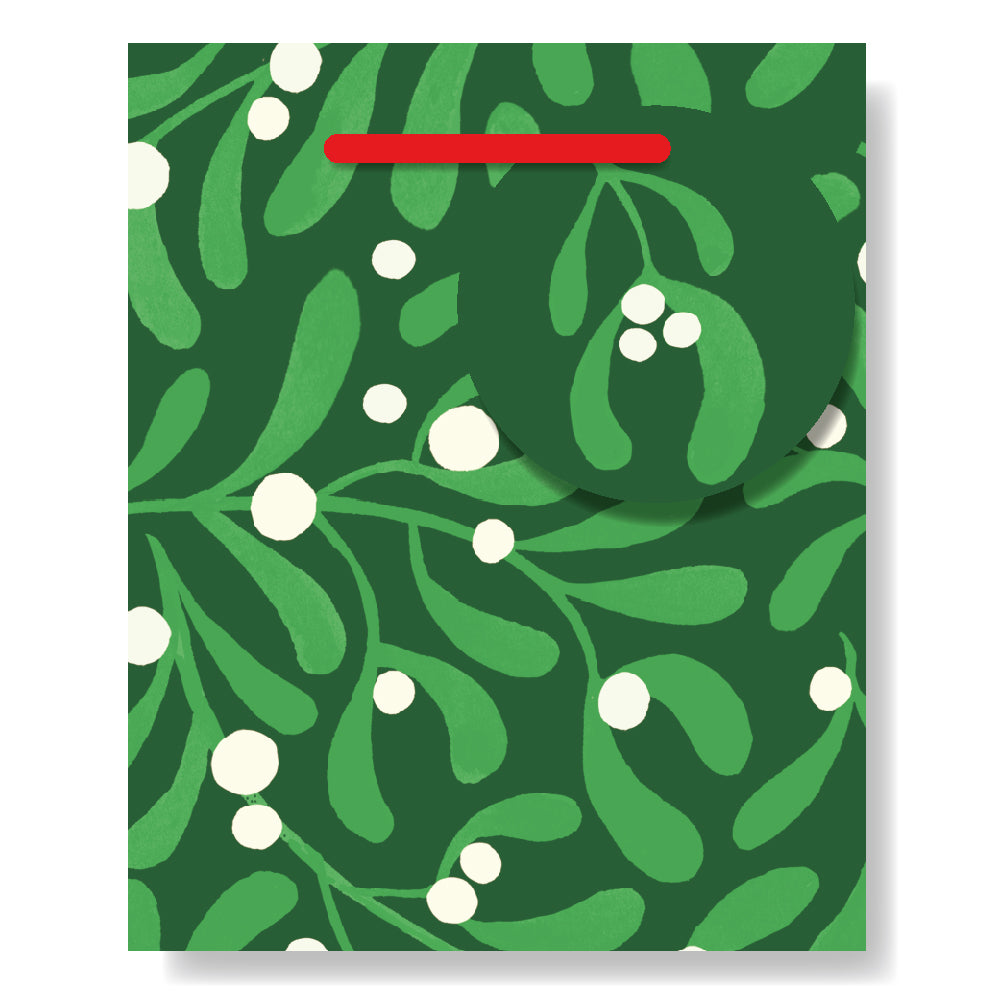 Christabelle Mistletoe Christmas Mug Gift Bag By Penny Black