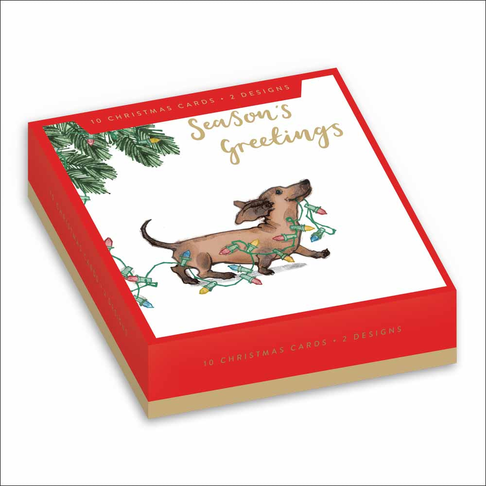Festive Mischievious Dogs Box Of 10 Christmas Cards By Penny Black