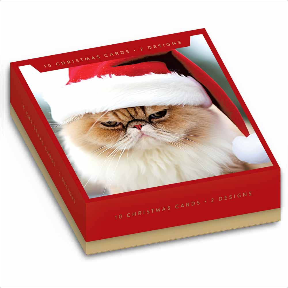 Festive Felines Cats Theme Box Of 10 Christmas Cards By Penny Black
