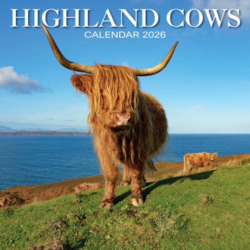 2026 Highland Cow Calendar By Penny Black