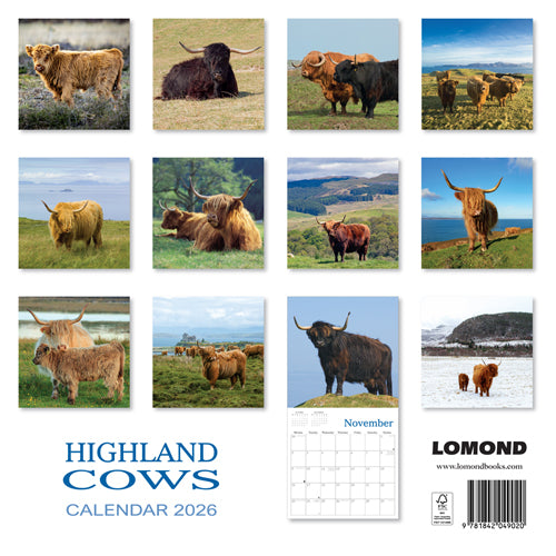 2026 Highland Cow Calendar By Penny Black
