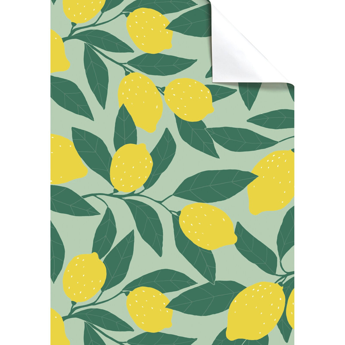 Ilse Lemons Single Wrapping Paper Sheet by penny black