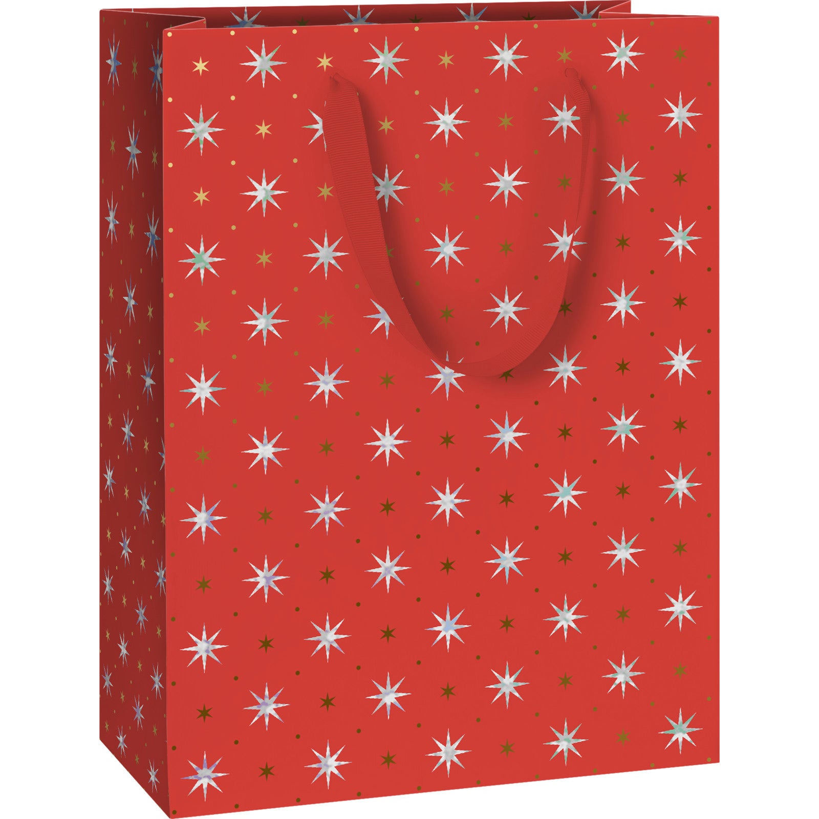 Zidonia Medium Christmas Gift Bag By Penny Black