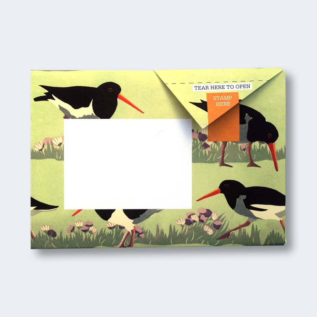 Hebridean Birds Pigeon Folding Letter Set by penny black - showing a yellow folded letter featuring an oystercatcher bird.