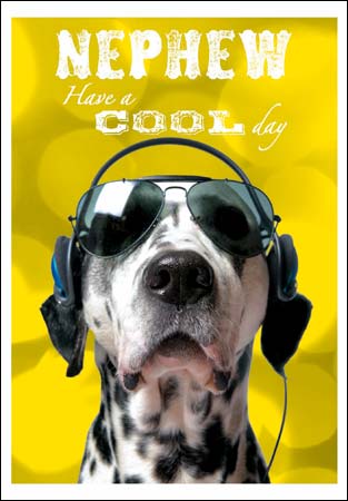 Dalmatian Have A Cool Day Nephew Birthday Card at Penny Black