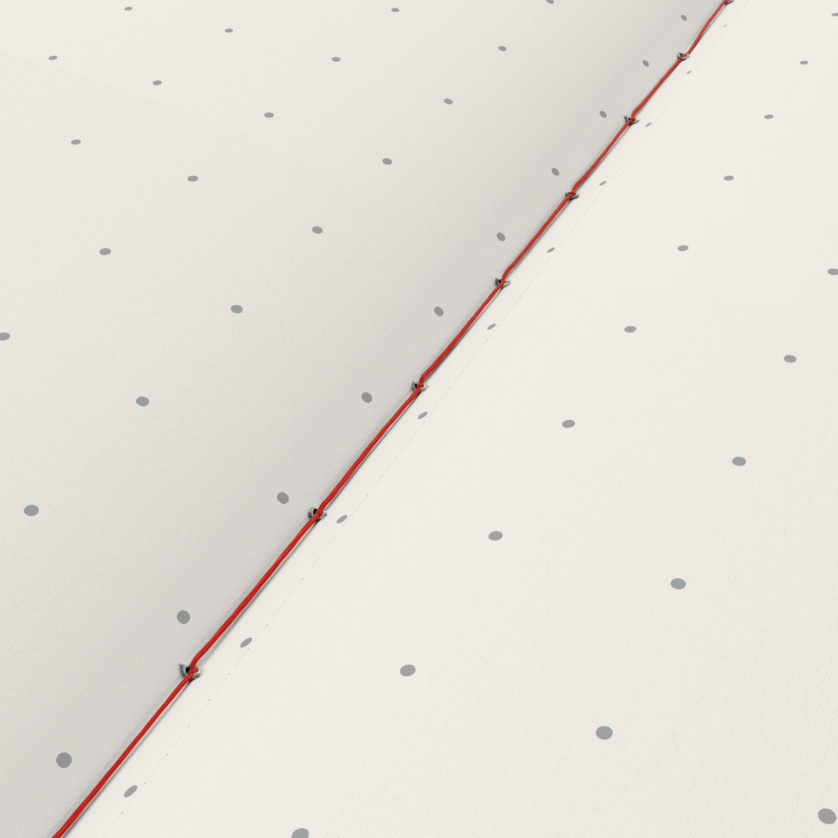 A Leuchtturm1917 notebook page with dotted pages and red binding.