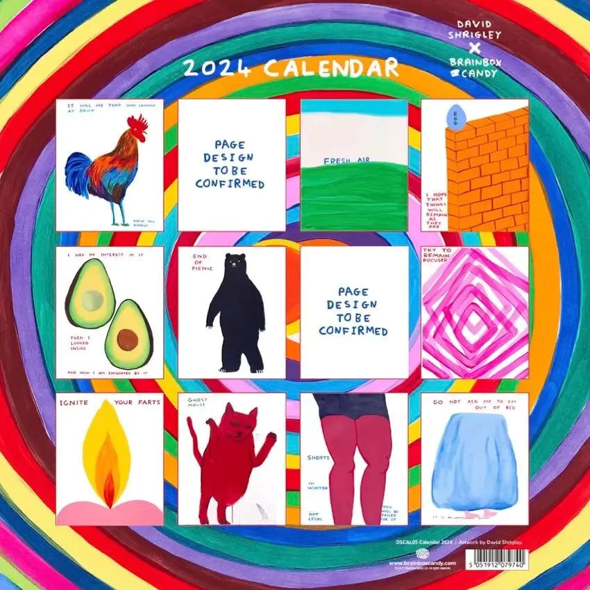 The back cover of a 2024 calendar by artist David Shrigley.  It has a background of vividly coloured circles and then 12 images of the artwork for each month.