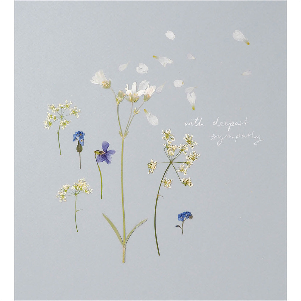 Cow Parsley and Violets Floral Sympathy Card from Penny Black
