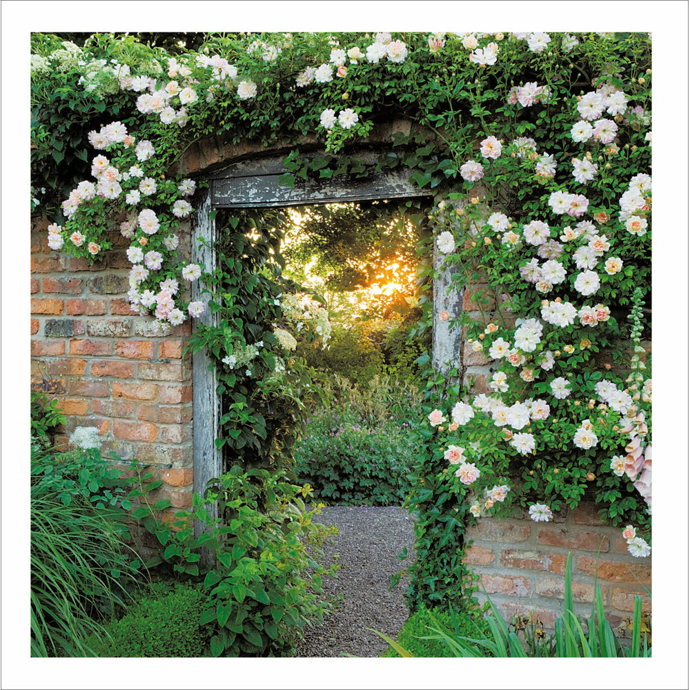 Walled Garden Wollerton Old Hall Photographic Card from Penny Black