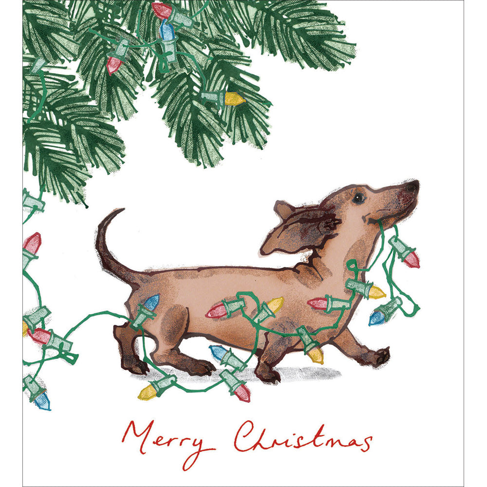 Cheeky Dachshund Charity Christmas Cards 5 Pk from Penny Black