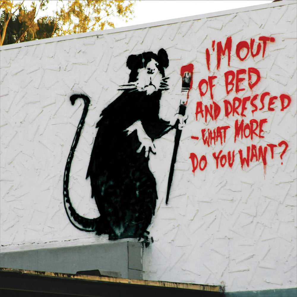 Out Of Bed Rat Funny Photographic Card at Penny Black