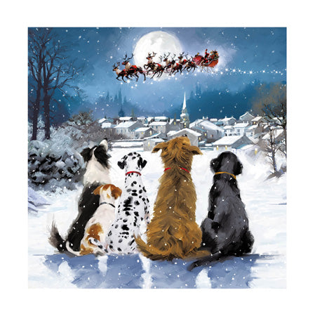 Midnight Watch Dogs Christmas Card