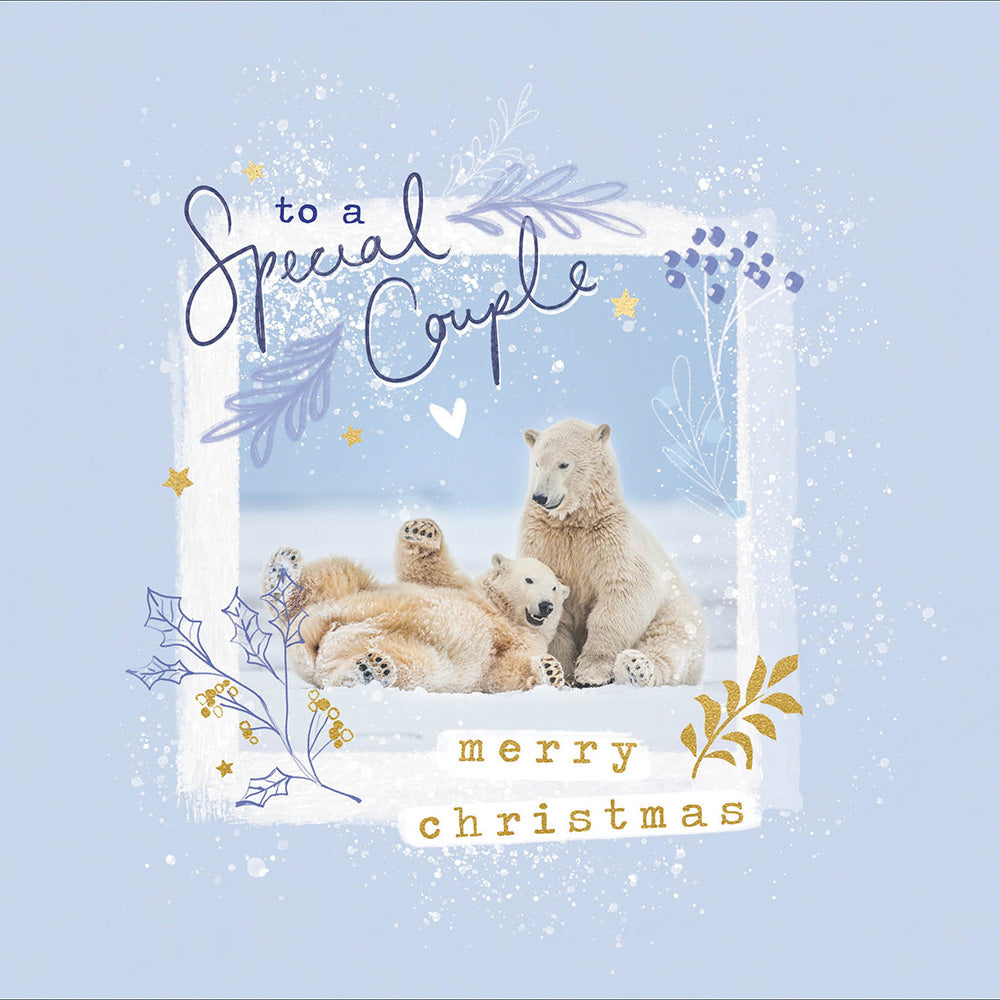 Special Couple Polar Bears Frame Christmas Card by Penny Black