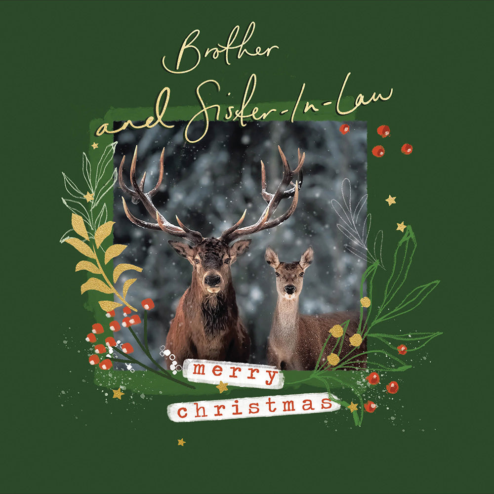 Brother & Sister-in-Law Deer Frame Christmas Card by Penny Black