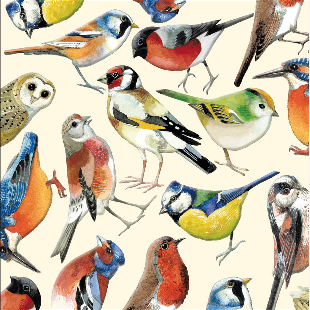 Bird Spotting Emma Bridgewater Art Card from Penny Black