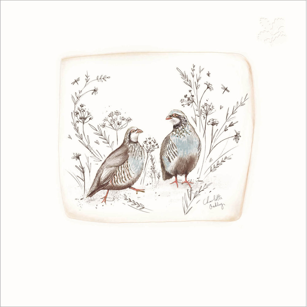 Red-Legged Partridge National Trust Illustrated Card