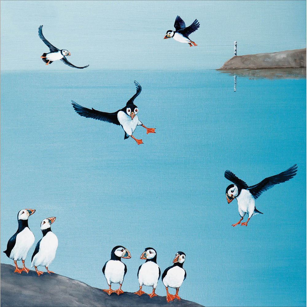 A Circus Of Puffins Art Card at Penny Black