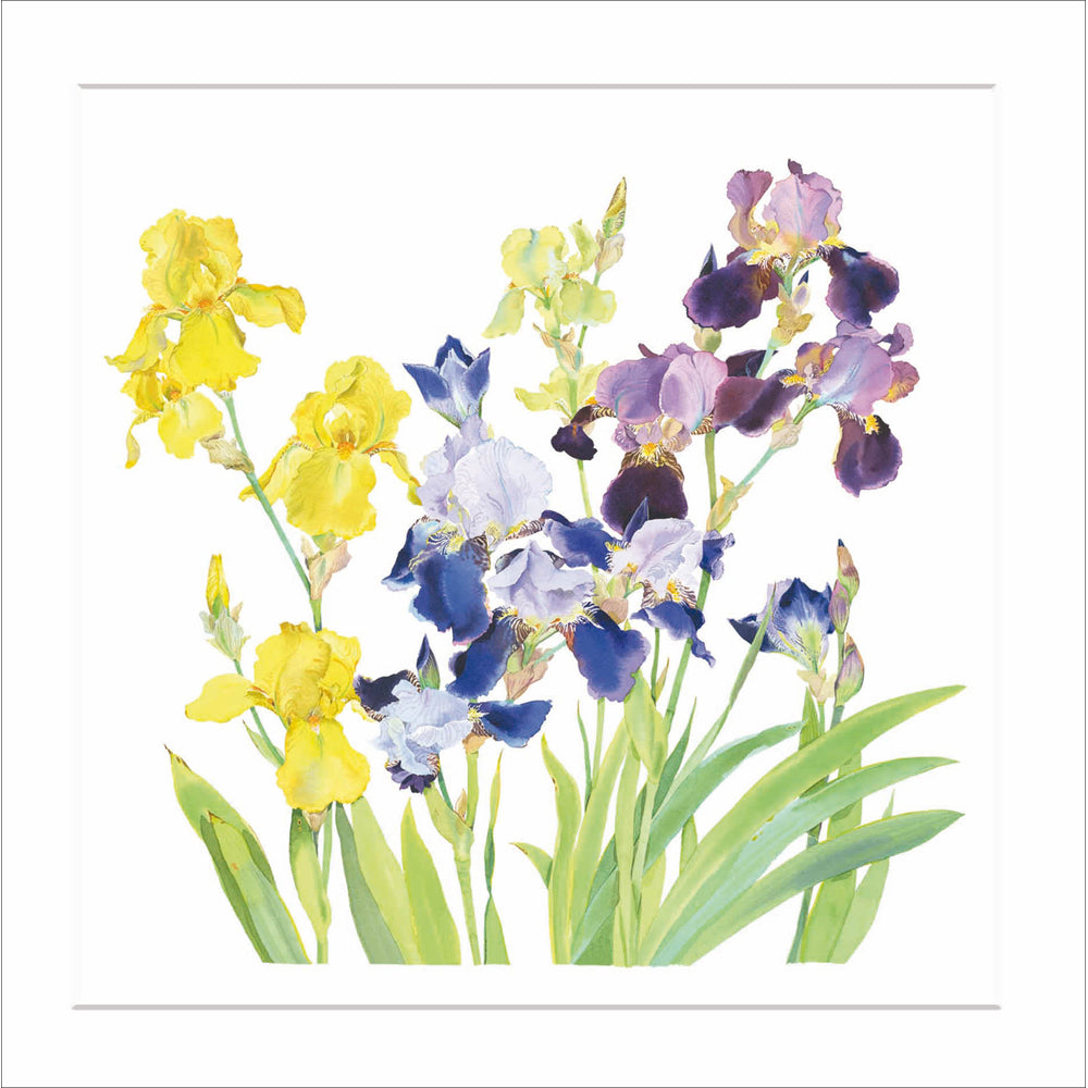 Iris Patch Art Card