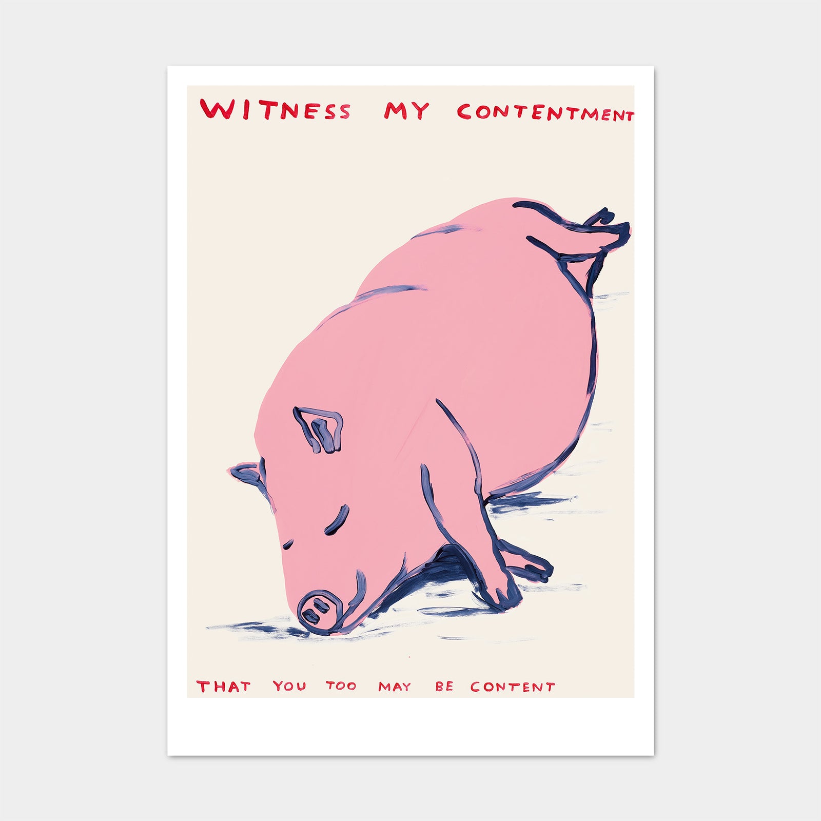 Witness My Contentment David Shrigley Postcard By Penny Black