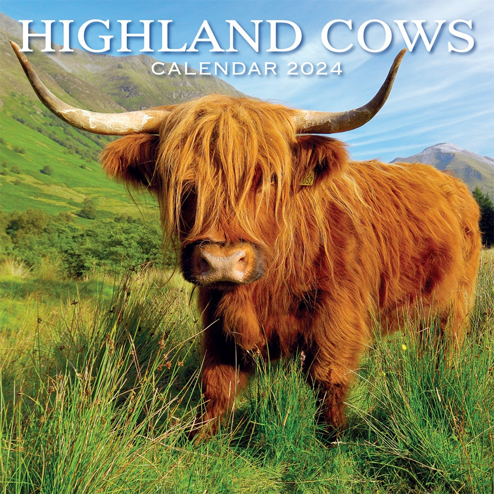 2024 Highland Cow Calendar
