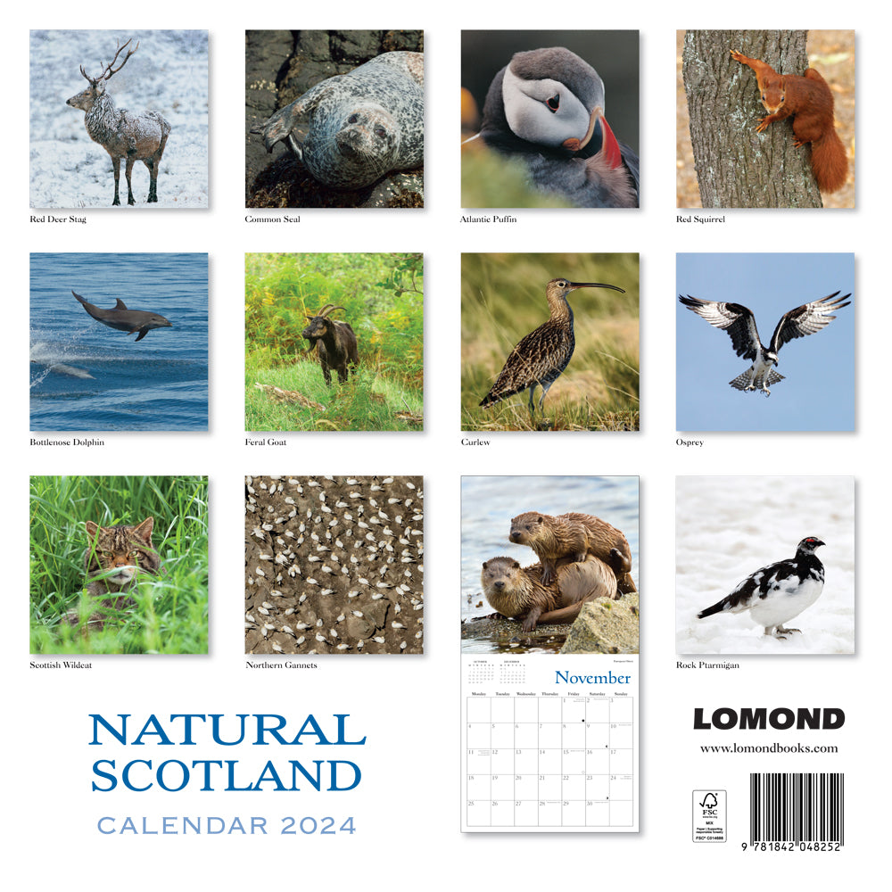 2024 Natural Scotland Calendar