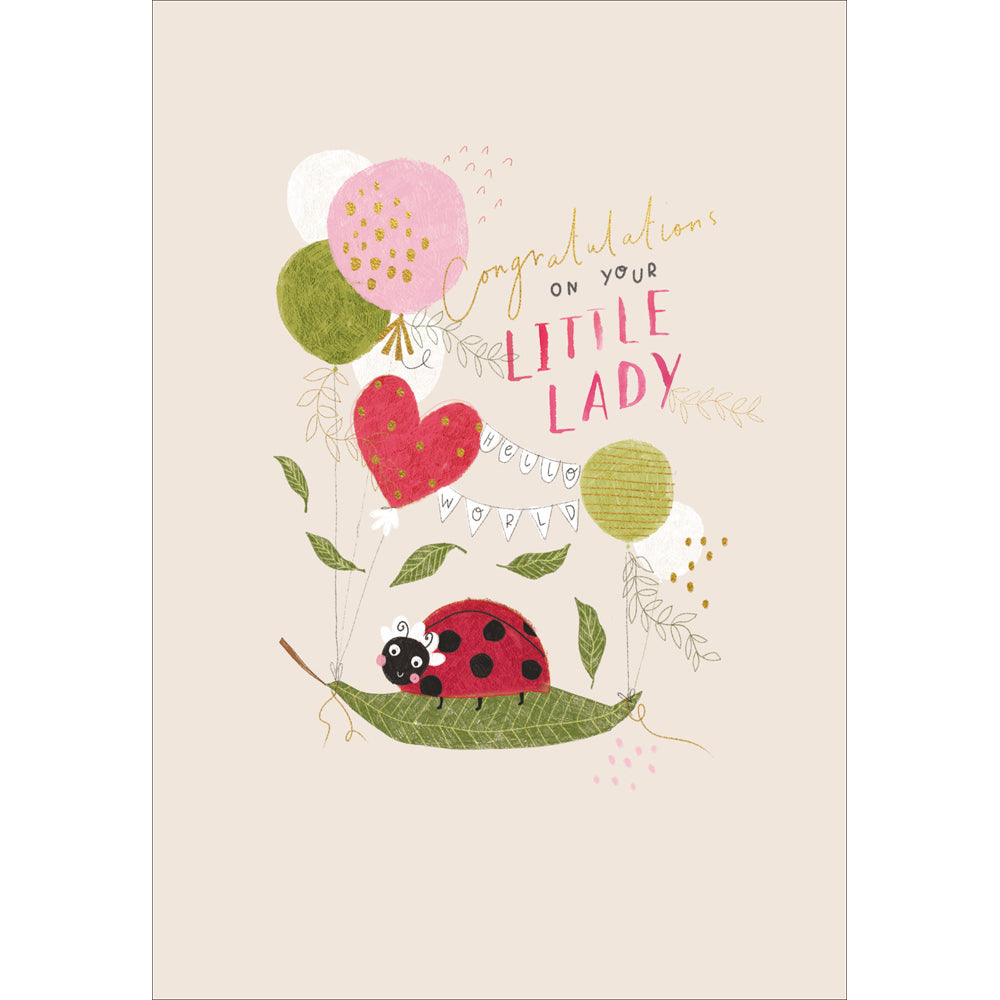 Little Ladybird New Baby Congratulations Card from Penny Black