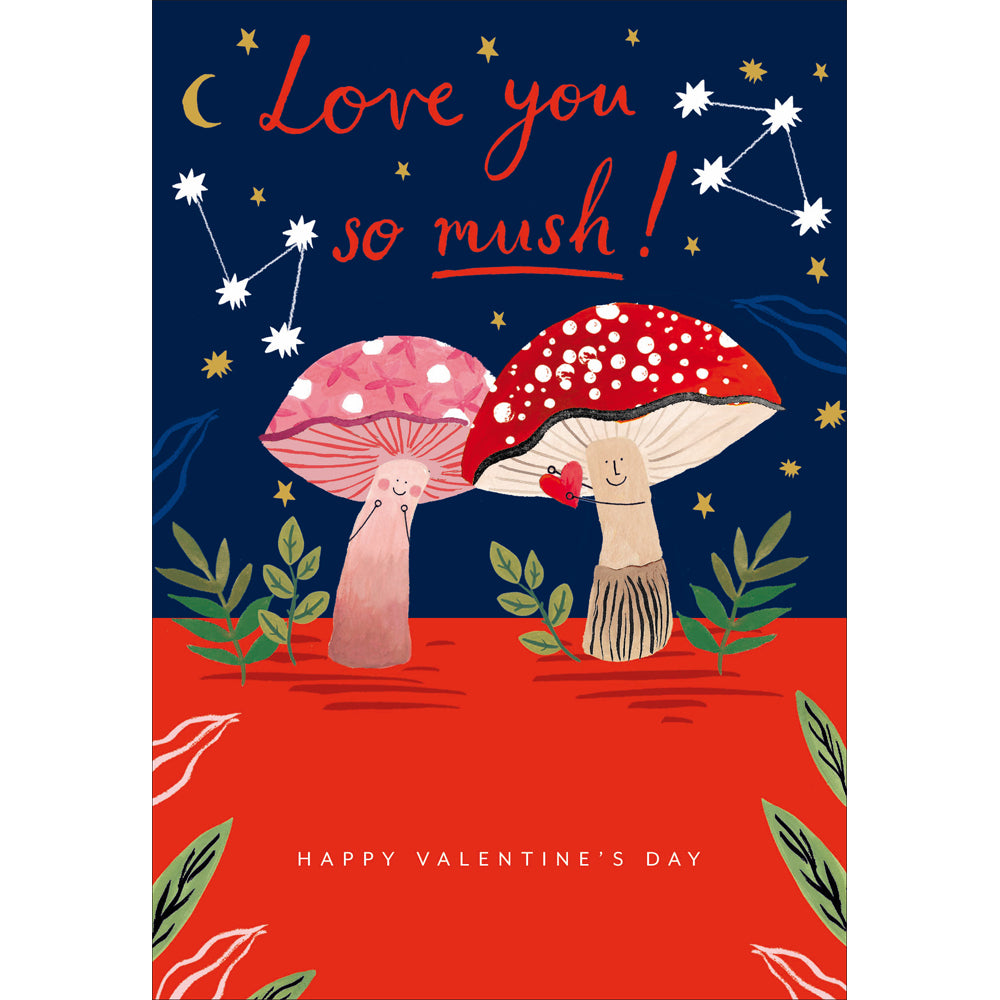 Love You So Mush Funny Valentine Card by penny black