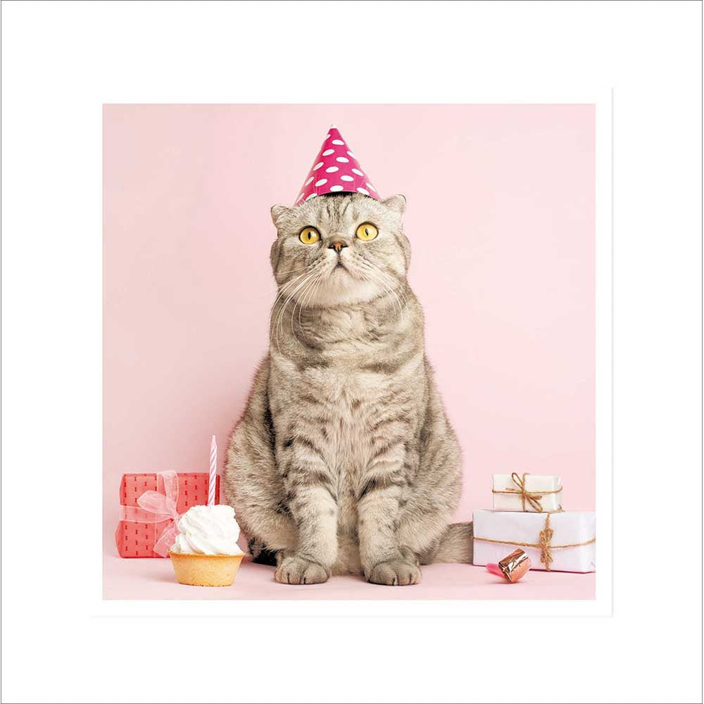 Grey Cat With Birthday Hat And Cupcake Photographic Card at Penny Black