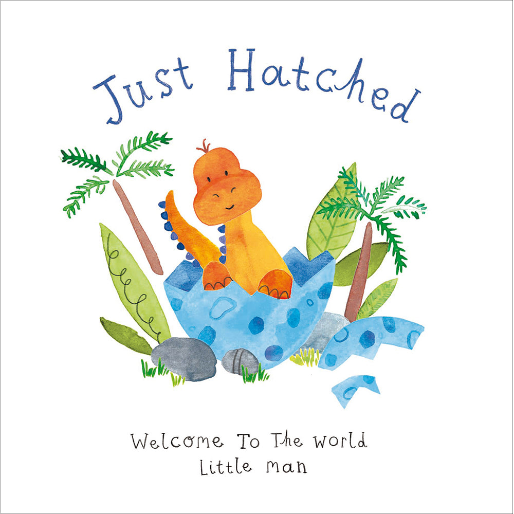 Just Hatched Dinosaur Little Man New Baby Card By Penny Black