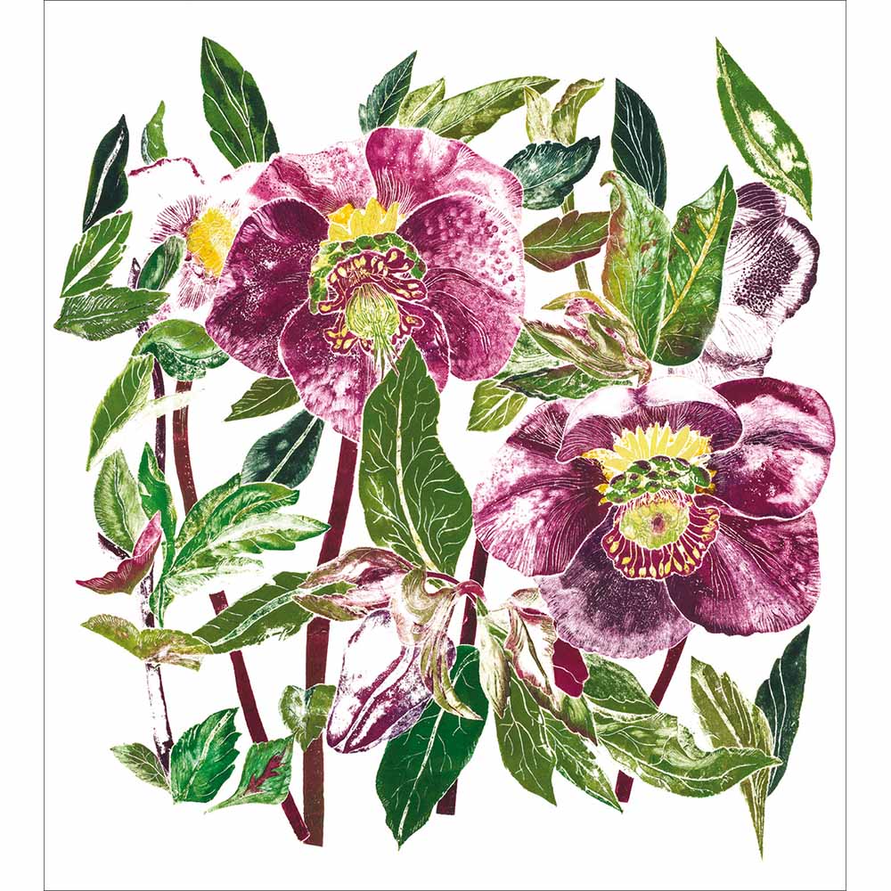 Purple Hellebores Charity Christmas Card 5 Pack by penny black