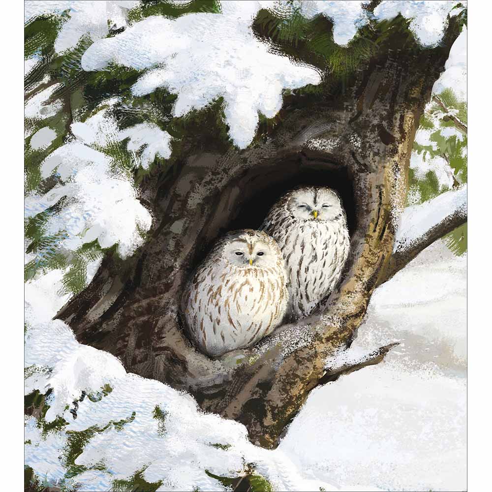 Painted Snowy Owls Charity Christmas Card 5 Pack by penny black