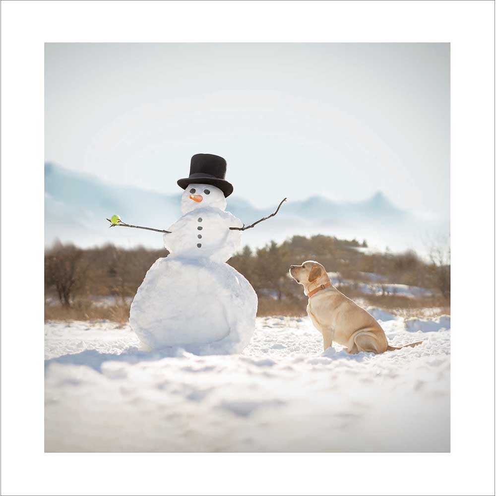 Labrador And Snowman Christmas Card by penny black