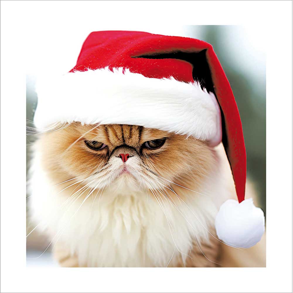 Grumpy Cat With Santa Hat Christmas Card by penny black