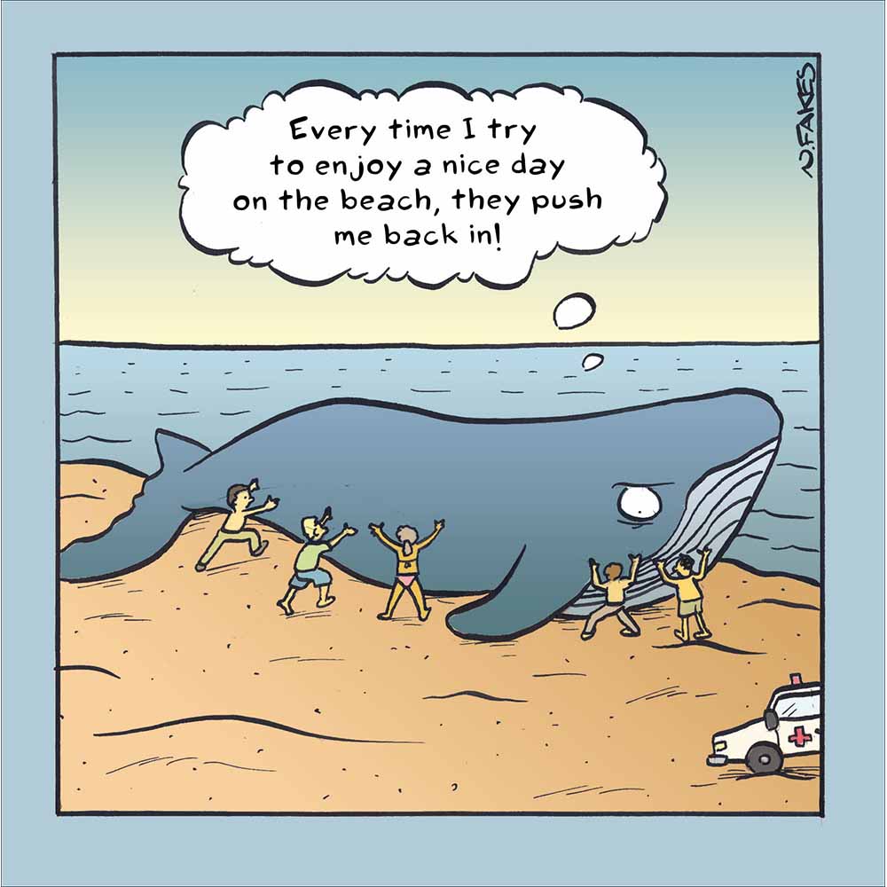 Beached Whale Funny Card at Penny Black