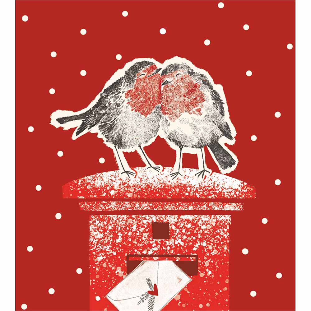 Romantic Robins On Postbox Charity Christmas Card 5 Pack by penny black