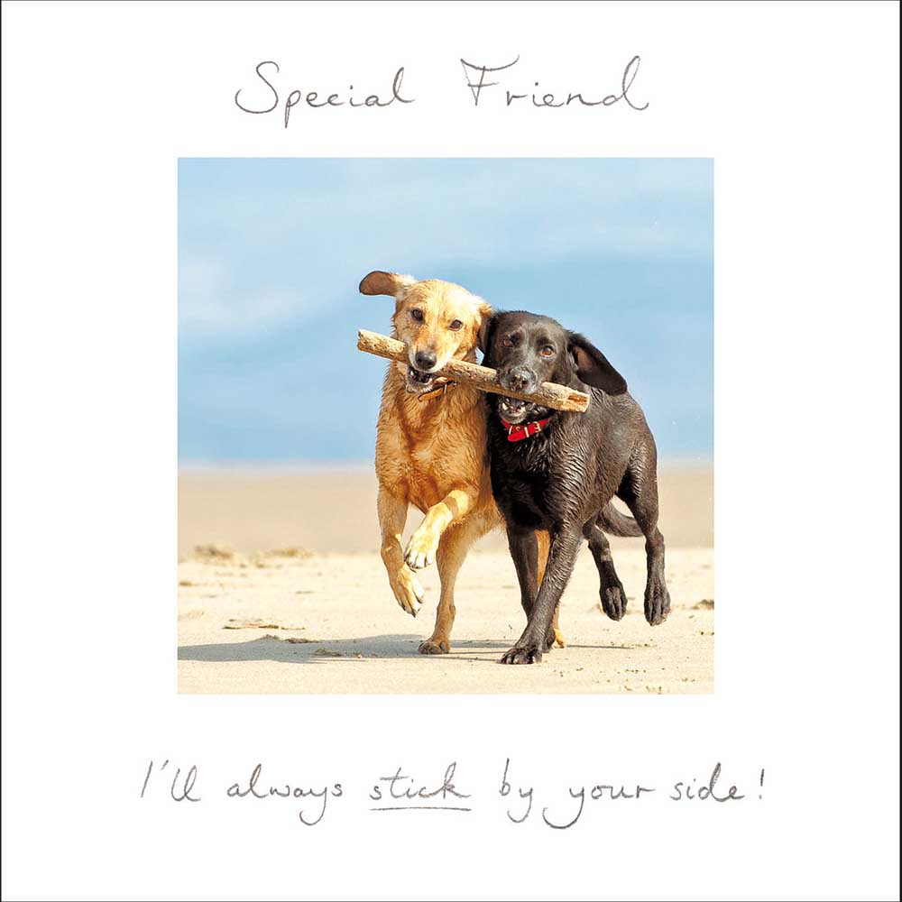Dogs Partner In Crime Special Friend Birthday Card from Penny Black