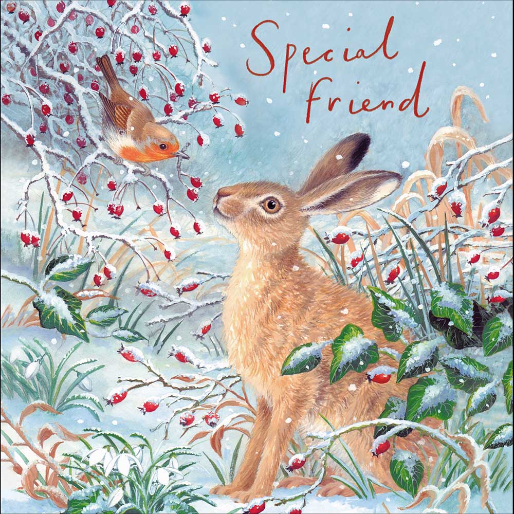 Frosty Hare & Robin Special Friend Christmas Card by penny black