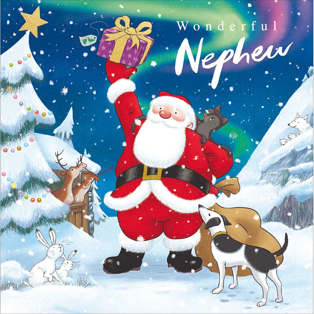 Raymond Briggs Northern Lights Wonderful Nephew Christmas Card by penny black
