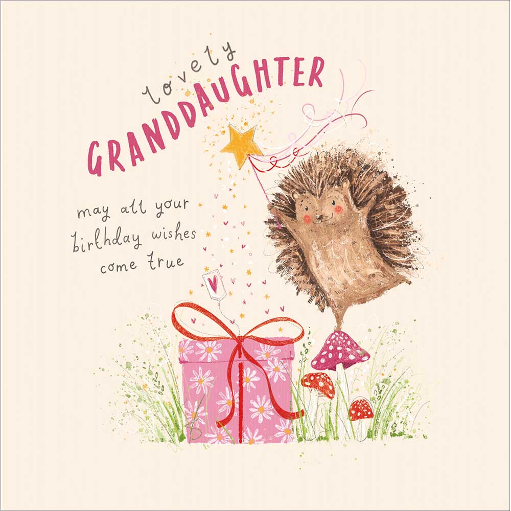 Hedgehog Fairy Lovely Granddaughter Birthday Card from Penny Black