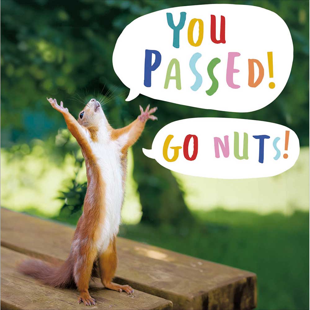 You Passed Go Nuts Funny Exams Congratulations Card By Penny Black