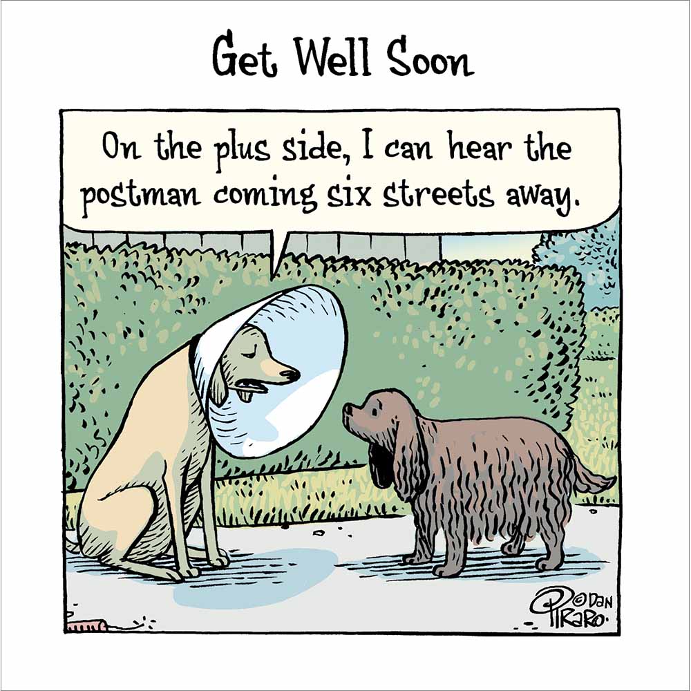 Dog Cone Of Shame Funny Get Well Soon Card at Penny Black