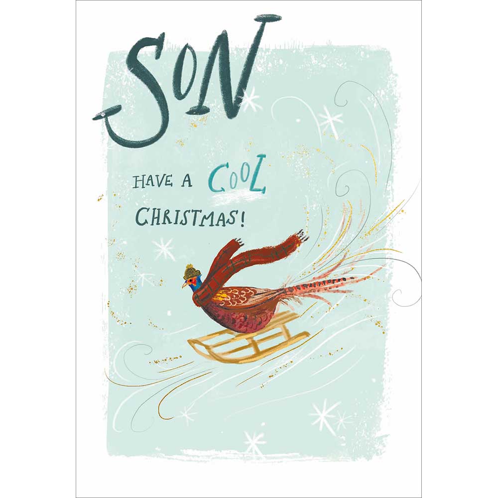 Pheasant Sledging Cool Son Christmas Card by penny black